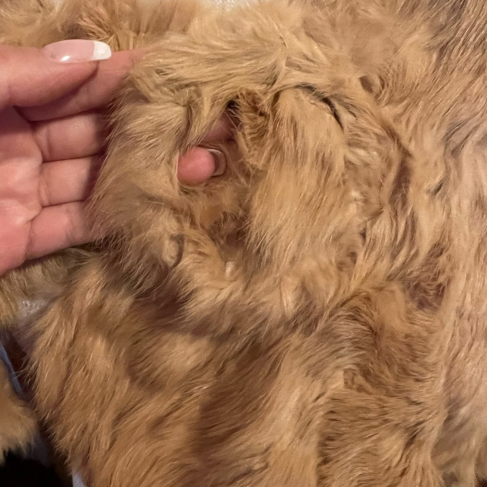 Faux Fur Throw nwt - Picture 3 of 3